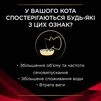 Purina Pro Plan Veterinary Diets DM Diabetes Managment Сухий корм для котів з цукровим діабетом - 6
