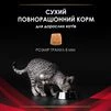 Purina Pro Plan Veterinary Diets DM Diabetes Managment Сухий корм для котів з цукровим діабетом - 10