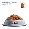 Клуб 4 Лапи Adult Medium Breeds Duck - сухий корм з качкою для дорослих собак середніх порід - 7