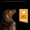 Purina Pro Plan Dog Adult Small &amp; Mini Everyday Nutrion Сухий корм з куркою для дорослих собак малих і мініатюрних порід - 6