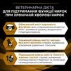 Purina Pro Plan Veterinary Diets NF Renal Function Лікувальний сухий корм для дорослих собак із хворими нирками - 8