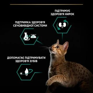 Purina Pro Plan Cat Adult Sterilised Renal Plus Turkey Сухой корм для дорослих котів після стерилізації з індичкою