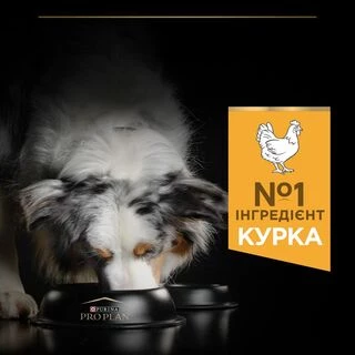 Purina Pro Plan Dog Adult Medium Everyday Nutrion Сухий корм з куркою для дорослих собак середніх порід