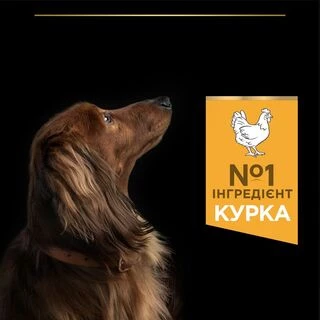 Purina Pro Plan Dog Adult Small &amp; Mini Everyday Nutrion Сухий корм з куркою для дорослих собак малих і мініатюрних порід